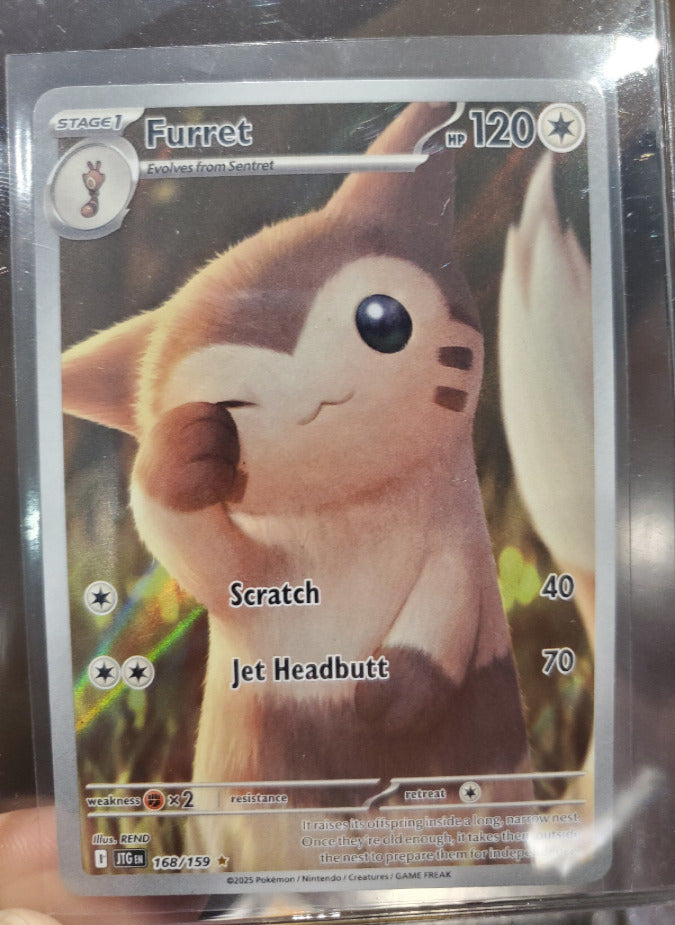 Pokemon-Furret Illustration Rare